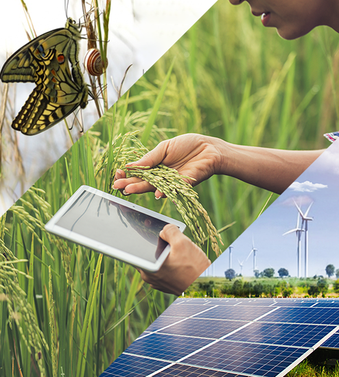 bscenvironmentalscience-RV